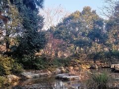 -上海滨江森林公园