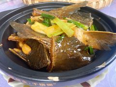 鸭嘴鱼—鱼三味之煮-顺德美食坊(南沙分店)