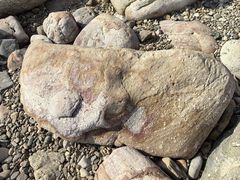 -西涌国际滨海旅游区