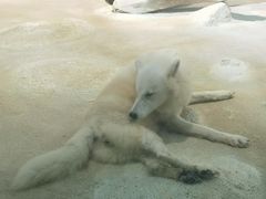 -珠海长隆海洋王国