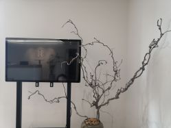 -清疣美疣·痣·斑净肤中心