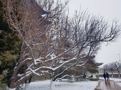 -北京明城墙遗址公园