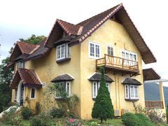 -黄色小屋