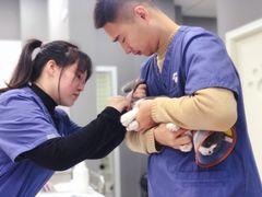 -福州肆爪动物医院