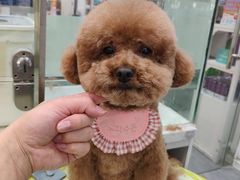 -它主义宠物(梁溪万达店)