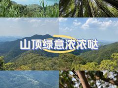 -午潮山国家森林公园
