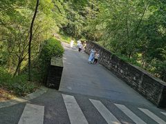 -都江堰中华大熊猫苑