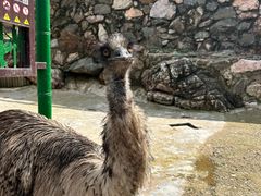 -栾川竹海野生动物园