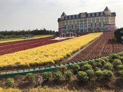 -百万葵园