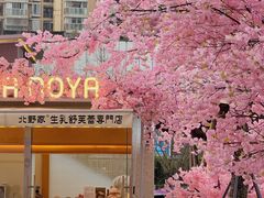 -首开·龙湖成都西宸天街