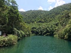 -羚羊峡古栈道森林公园