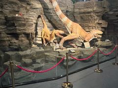 -辽宁古生物博物馆
