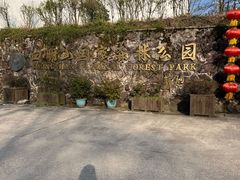 -四明山国家森林公园