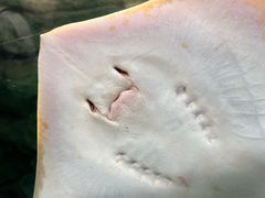 -珠海长隆海洋王国