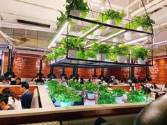 大堂-猫爪爪原切自助烤肉(观音桥阳光世纪店)
