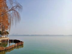 -湖滨客舍·湖北菜