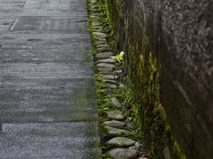 -西溪南古村落