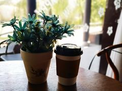 -芦花影视主题咖啡馆(沙家浜景区店)