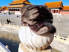 -故宫博物院(故宫)