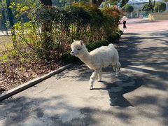 -达蓬山旅游度假区
