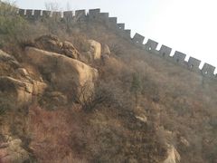 -大碗居·烤鸭·鱼头泡饼(天坛东门店)