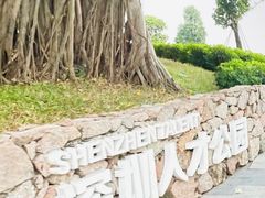 -深圳人才公园