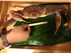 -蟹道乐(道顿堀本店)