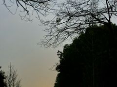 -蜀冈西峰生态公园