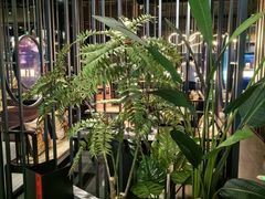 -湊湊火锅·茶憩(卓展店)