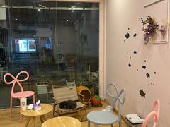 -猫咪派对(江南西店)