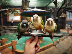 -西霞口神雕山野生动物世界