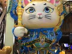 -more than meow吴止猫主题餐厅(承德 中船汇店)