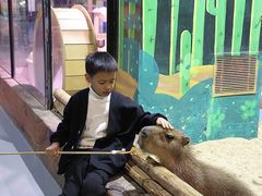 -顺德南宏海立方海洋公园