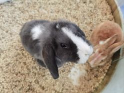 -思诺卡儿童俱乐部(东方广场店)