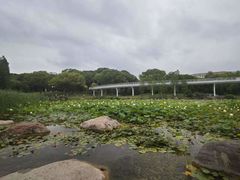 -昆山城市公园