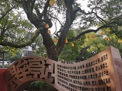-安亭老街