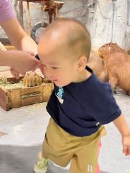 -Zoolung Zoolung动物主题公园(海信广场店)