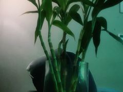 -玥汐·3D影院式足道SPA(万泰城店)