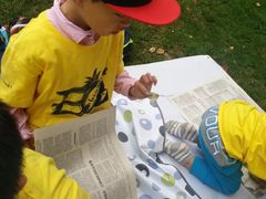 -大果情商(亲藤店)