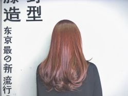 点击看大图 -藤野造型