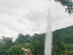 -西双版纳原始森林公园