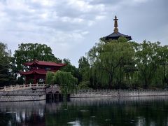 -百脉泉景区