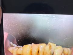 -牙博士口腔品牌连锁(杨浦店)