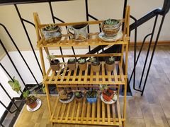 -兄弟宁乡龙城(麓景路店)