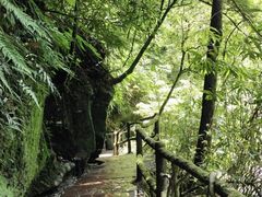 -碧峰峡风景区