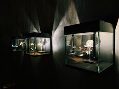 -泰安门Taian Table(镇宁路店)