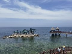 -养马岛旅游度假区