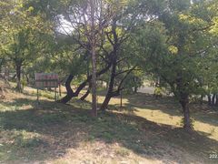 -大浪坝森林公园