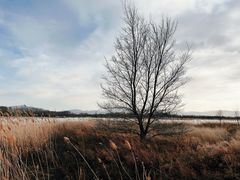 -野鸭湖国家湿地公园