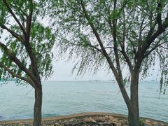 -湖州太湖旅游度假区-月亮广场